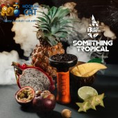 Табак BlackBurn Something Tropical (Что-то Тропическое) 100г Акцизный